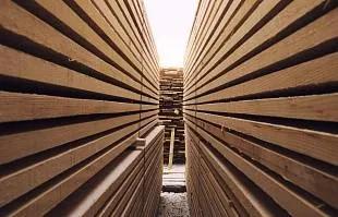 Как выбрать доску: сорта, виды и чем они отличаются