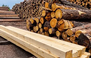 Заготовка сырья для производства пиломатериалов